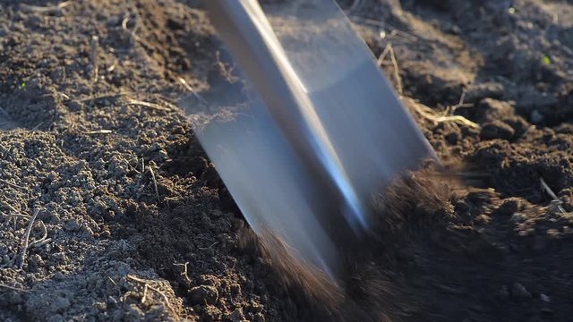 Working with a shovel on the ground