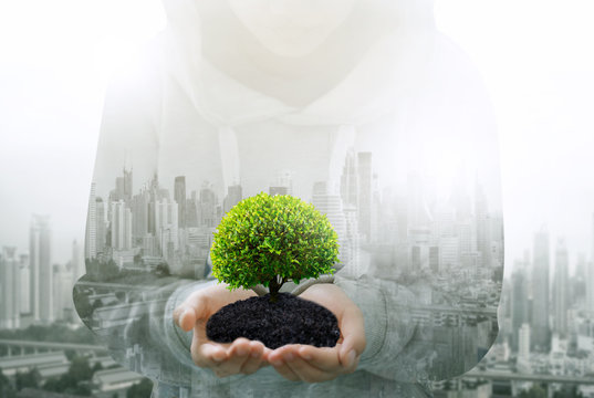 world environment day concept.Ecology concept hands holding plant a plant sapling with on ground 