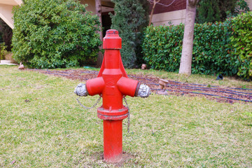 Fire department hydrant 