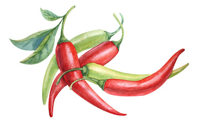 watercolor red and green chili pepper - obrazy, fototapety, plakaty
