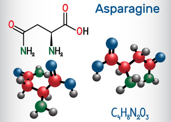 Asparagine (L-asparagine , Asn, N) amino acid molecule. It is is used in the biosynthesis of proteins.  Structural chemical formula and molecule model