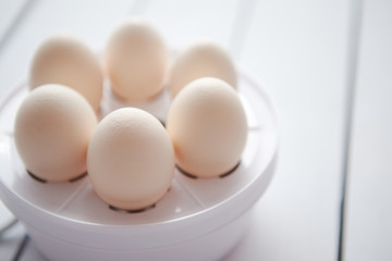 Chicken eggs in a egg electric cooker on a white wooden table