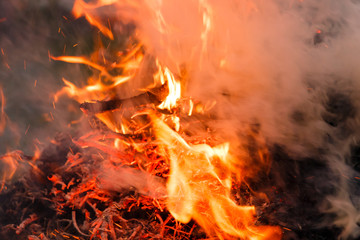 Burning pile of tree limbs and dry leaves in garden