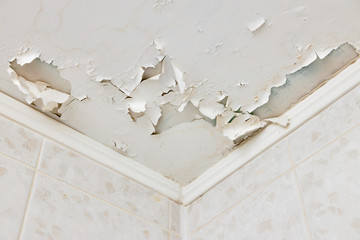 Swelling of whitewash and plaster on ceiling of dwelling due to penetration of water from the top floor or roof
