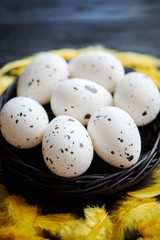 Whole Chicken eggs in a nest on a black rustic wooden background. Easter symbols