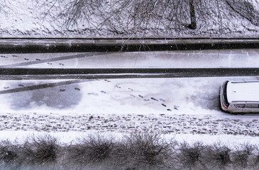 Early spring or winter, snowy weather, traces on the ground
