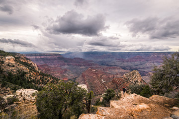 Beautiful view at the Edge of the Canyon at the Grand canyon in the USA 