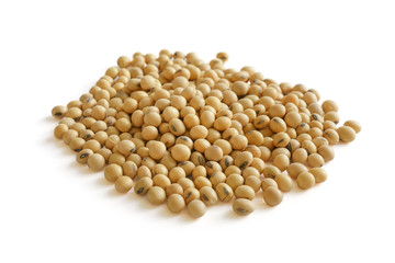 Soybean on white background