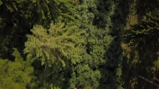 Überflug Teutoburger Wald