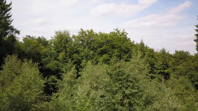 Teutoburger Wald Aufstieg
