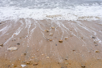 Stones at a sandy pebble beach with the sea withdrawing