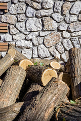 Log of a cut circular trunk, where the tree annual growth rings can be seen. Untidy stack of firewood. Ivy leaves attached to the bark of the tree. Stone and cement wall in the background.