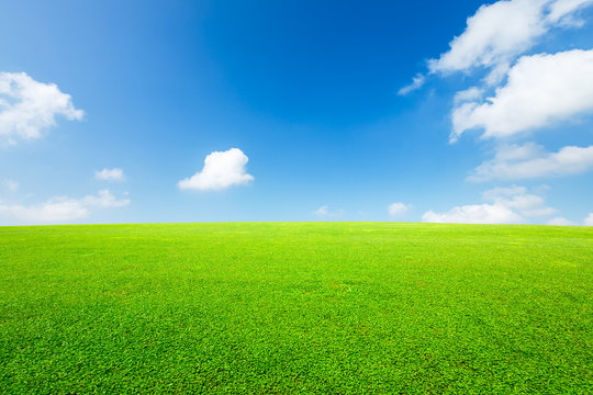 Green grass and blue sky with white clouds © ABCDstock