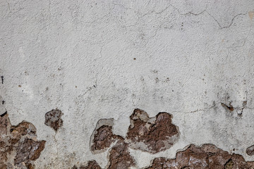 Gray wall ruined by time, bad weather and humidity. Cracks, mold, peeling paint and plaster. Bricks...