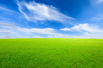 Obraz premium Green grass and blue sky with white clouds