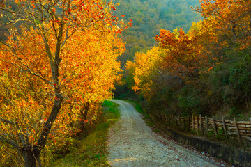 Sentiero autunnale