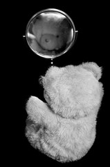 ours en peluche devant miroir