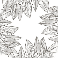 Summer tropical leaves design. Floral background illustration. Invitation or card design with jungle leaves.