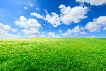 Grünes Gras und blauer Himmel mit weißen Wolken