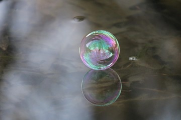 Bulle