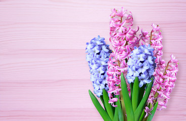 Hyacinths on wooden background.