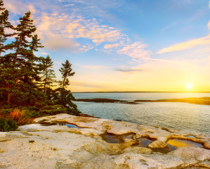 The conquest of the Atlantic Ocean. Rocky shore and cold trees on a cliff at sunset. Maine. USA. Reid National Park.