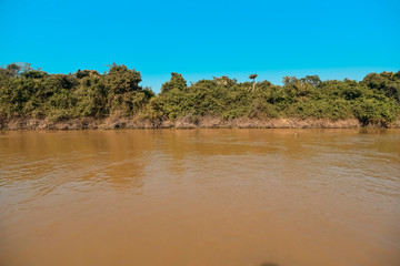 River landscape  and jungle,Pantanal, Brazil