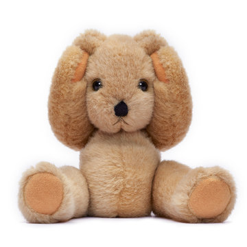 Sad Teddy