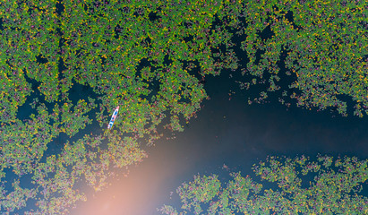 The sea of red lotus press angle, Lake Nong Harn, Udon Thani, Thailand.
