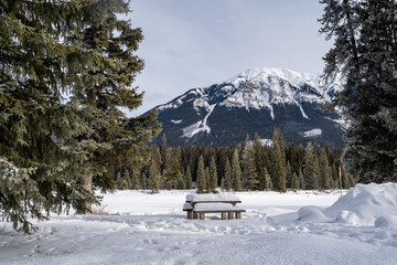 Snow covered picnic table at a rest stop in Kootenay National Park, British Columbia Canada in winter.