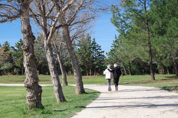 Deux vieux amis qui marchent ensemble sur un chemin