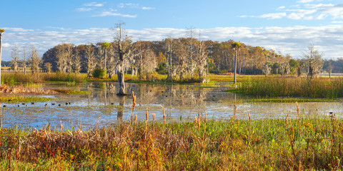 Early morning view at Orlando Wetlands Park in Orange County, Florida