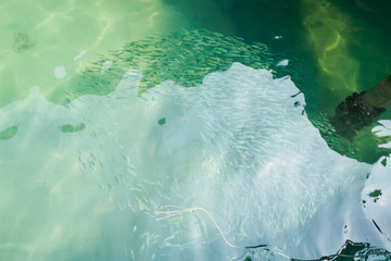 Tropical landscape of Koh Kood
