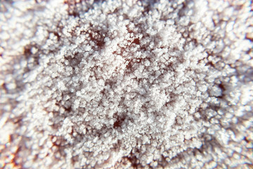 top view: texture of frozen ice floes in winter, snow background