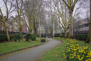 path in the park