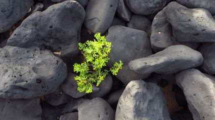 Lanzarote Vulkankrater