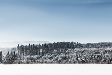 landscape with forest and carpathian mountains covered with snow