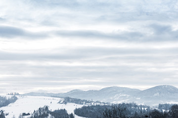 Fototapeta na wymiar landscape of carpathian mountains covered with snow with cloudy sky and trees