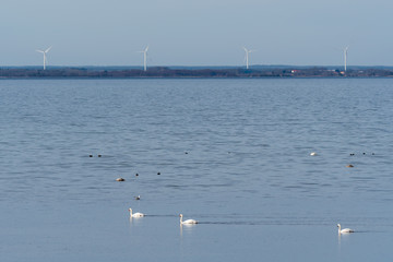 Beautiful view with windmills by the coast