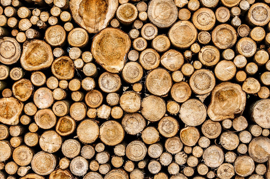 stacked wood logs.