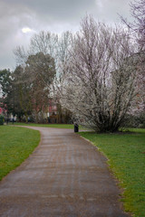 path in the park