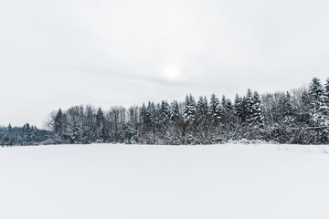 scenic view of carpathian mountains and trees covered with snow