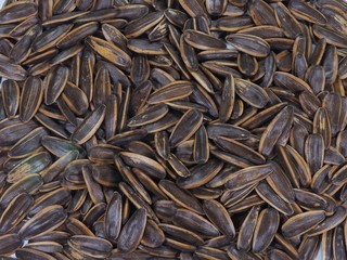 seeds of sunflower