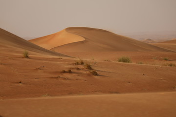 Fototapeta na wymiar desert sand dunes background 