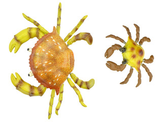 toy crabs on white