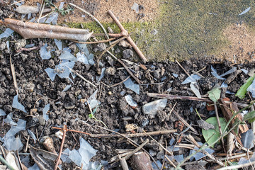 Plastic pollution. Degraded brittle plastic as a garden soil pollutant