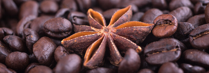 Anise star on roasted coffee beans background. Close up. Perfect spice combination concept. Wide head photo