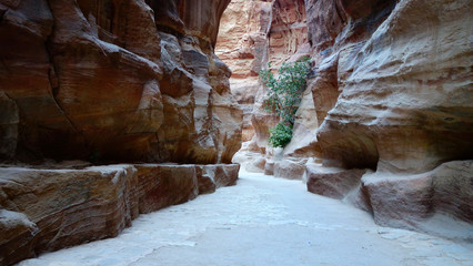 Petra in Jordanien, mit Felsgräbern und römischen Ruinen