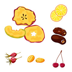 Fototapeta premium Vector illustration of fruit and dried sign. Set of fruit and food stock symbol for web.