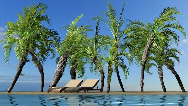 Island summer landscape with palm trees and deck chairs against blue sky. Holiday destination concept